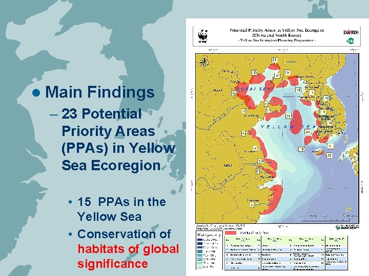 l Main Findings – 23 Potential Priority Areas (PPAs) in Yellow Sea Ecoregion •
