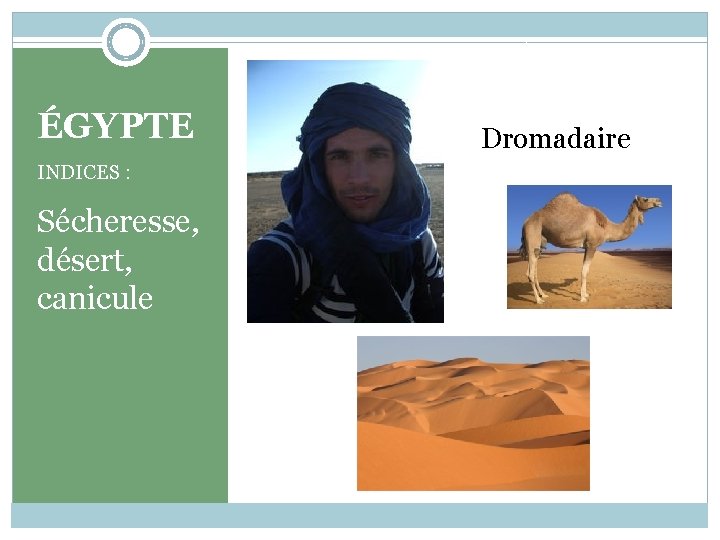 ÉGYPTE INDICES : Sécheresse, désert, canicule Dromadaire 