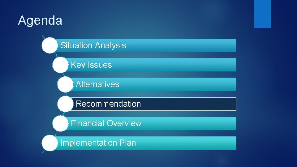 Agenda Situation Analysis Key Issues Alternatives Recommendation Financial Overview Implementation Plan 