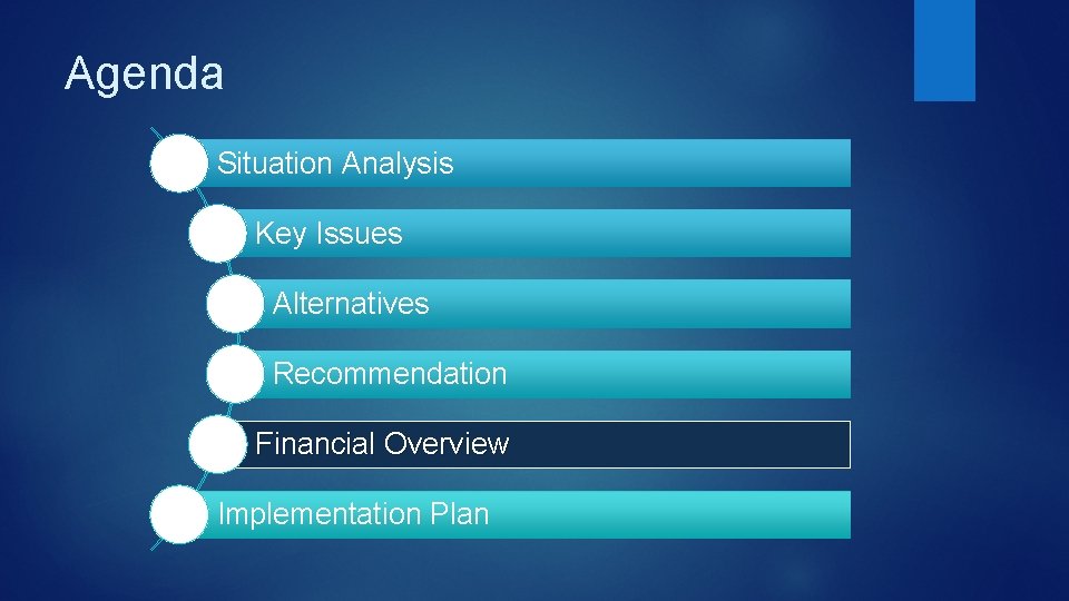 Agenda Situation Analysis Key Issues Alternatives Recommendation Financial Overview Implementation Plan 