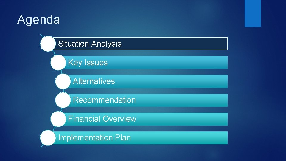 Agenda Situation Analysis Key Issues Alternatives Recommendation Financial Overview Implementation Plan 