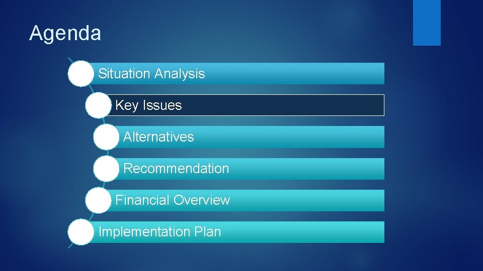 Agenda Situation Analysis Key Issues Alternatives Recommendation Financial Overview Implementation Plan 