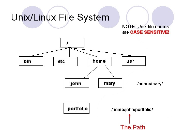 Unix/Linux File System NOTE: Unix file names are CASE SENSITIVE! /home/mary/ /home/john/portfolio/ The Path Unix/Linux File System NOTE: Unix file names are CASE SENSITIVE! /home/mary/ /home/john/portfolio/ The Path