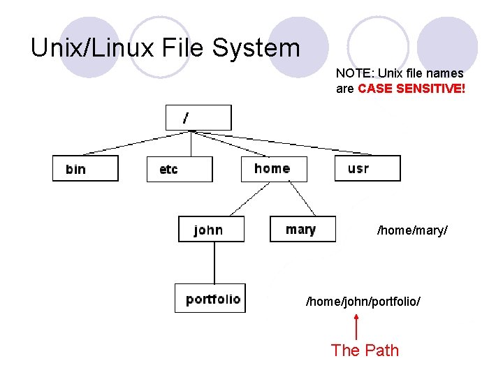 Unix/Linux File System NOTE: Unix file names are CASE SENSITIVE! /home/mary/ /home/john/portfolio/ The Path