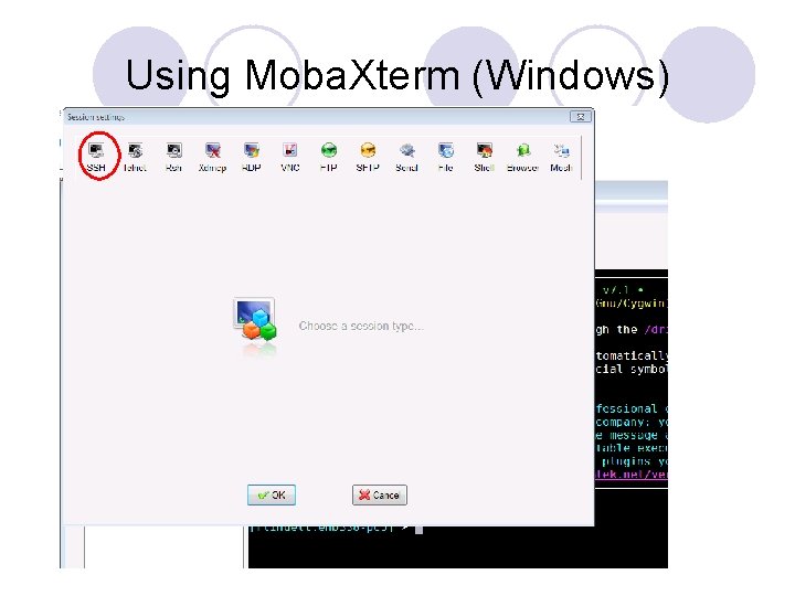 Using Moba. Xterm (Windows) 