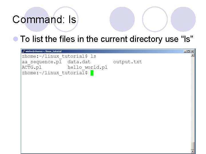 Command: ls l To list the files in the current directory use “ls” 