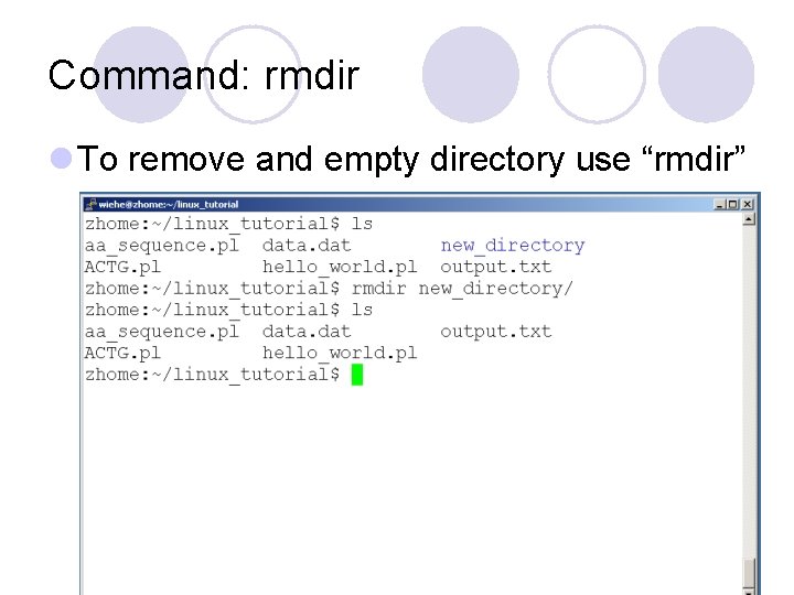 Command: rmdir l To remove and empty directory use “rmdir” 