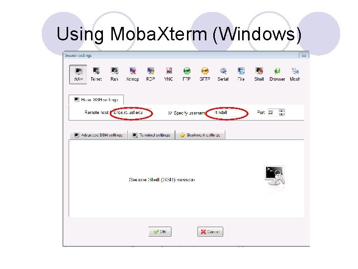 Using Moba. Xterm (Windows) 