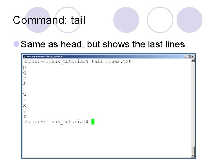 Command: tail l Same as head, but shows the last lines 