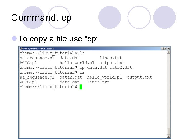 Command: cp l To copy a file use “cp” 