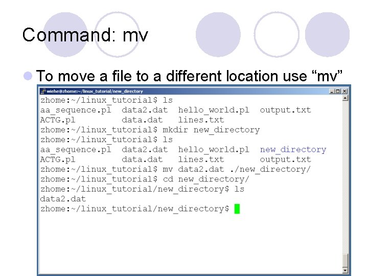 Command: mv l To move a file to a different location use “mv” 