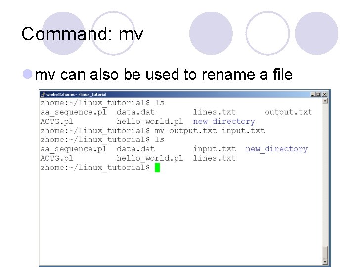 Command: mv l mv can also be used to rename a file Command: mv l mv can also be used to rename a file