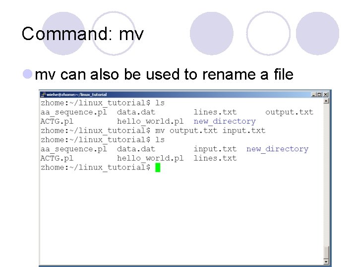 Command: mv l mv can also be used to rename a file 