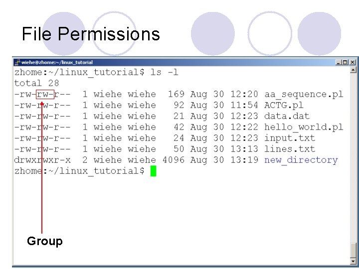 File Permissions Group 