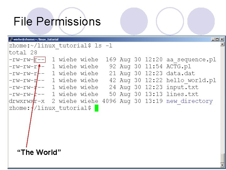 File Permissions “The World” File Permissions “The World”