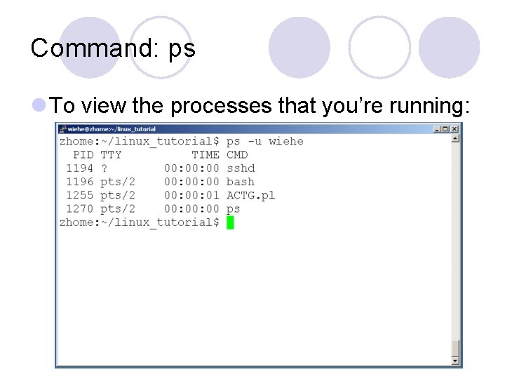 Command: ps l To view the processes that you’re running: 