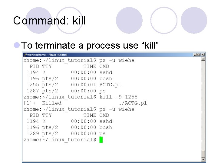 Command: kill l To terminate a process use “kill” Command: kill l To terminate a process use “kill”