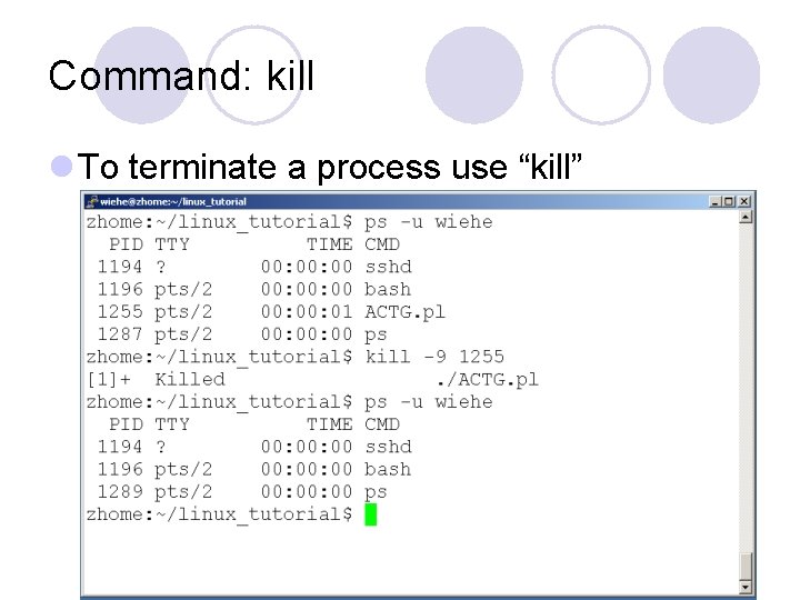 Command: kill l To terminate a process use “kill” 