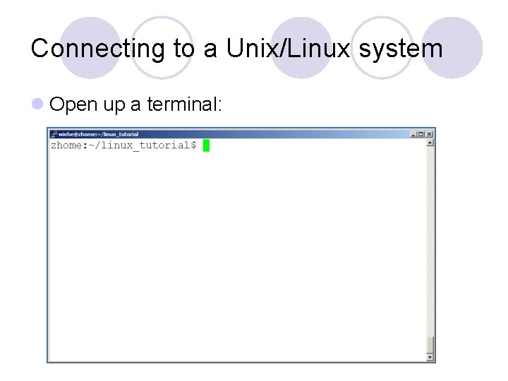 Connecting to a Unix/Linux system l Open up a terminal: 