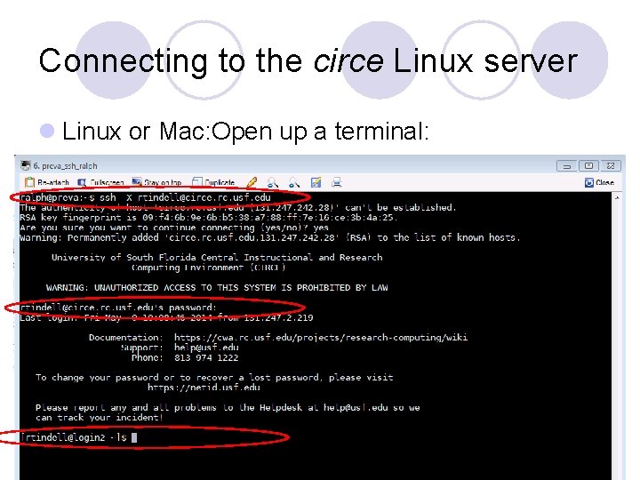 Connecting to the circe Linux server l Linux or Mac: Open up a terminal: