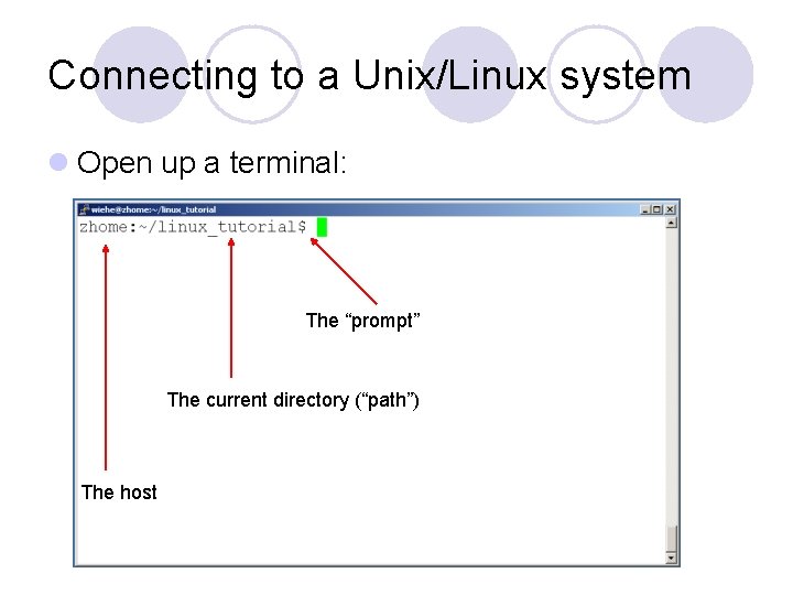 Connecting to a Unix/Linux system l Open up a terminal: The “prompt” The current