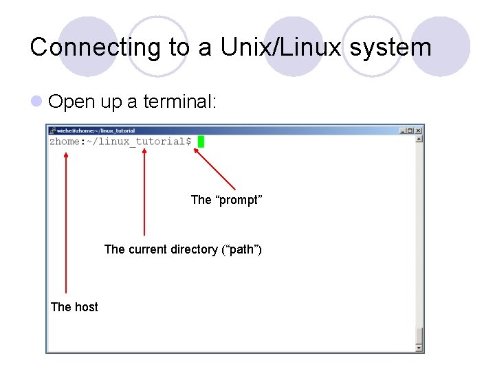 Connecting to a Unix/Linux system l Open up a terminal: The “prompt” The current Connecting to a Unix/Linux system l Open up a terminal: The “prompt” The current