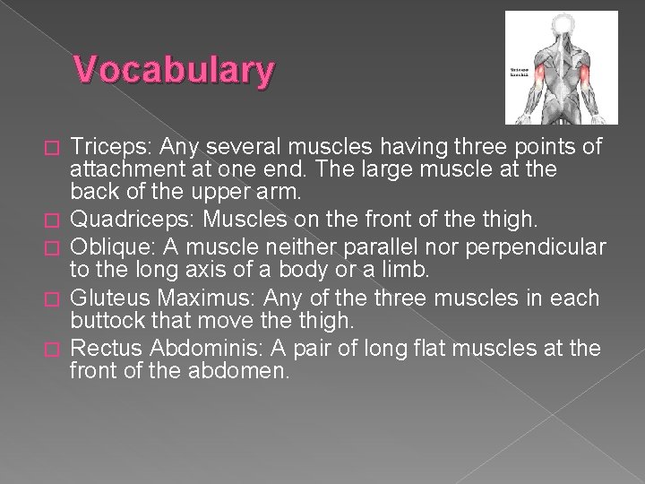 Vocabulary � � � Triceps: Any several muscles having three points of attachment at