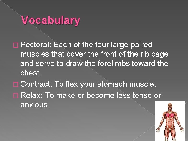 Vocabulary � Pectoral: Each of the four large paired muscles that cover the front