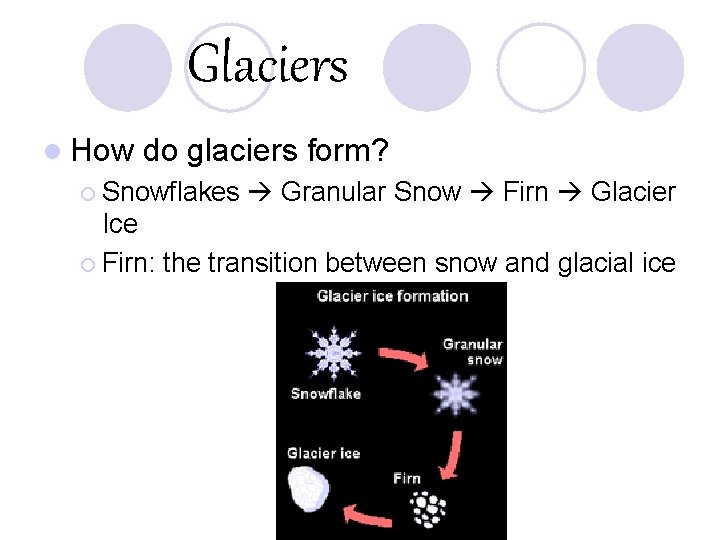 Glaciers l How do glaciers form? ¡ Snowflakes Granular Snow Firn Glacier Ice ¡