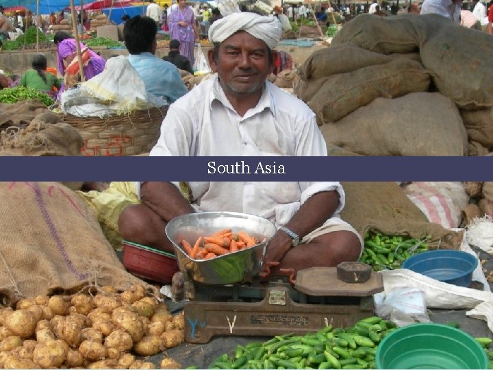 AVRDC – The World Vegetable Center vegetables + development South Asia 14 / 