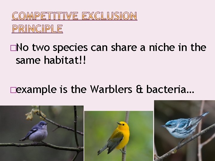 �No two species can share a niche in the same habitat!! �example is the