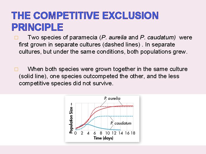 THE COMPETITIVE EXCLUSION PRINCIPLE � Two species of paramecia (P. aurelia and P. caudatum)