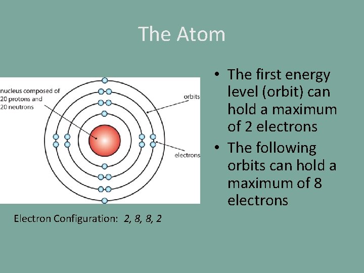 The Atom • The first energy level (orbit) can hold a maximum of 2