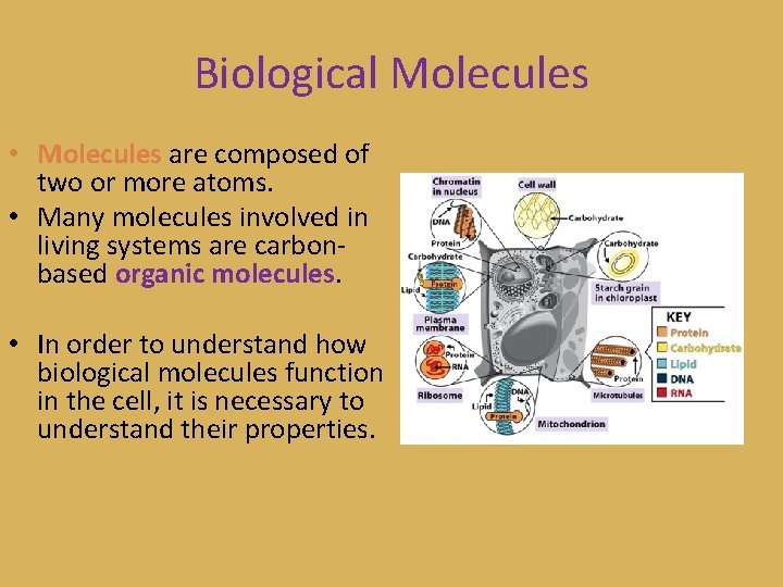 Biological Molecules • Molecules are composed of two or more atoms. • Many molecules