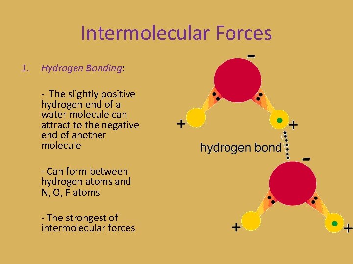 Intermolecular Forces 1. Hydrogen Bonding: - The slightly positive hydrogen end of a water