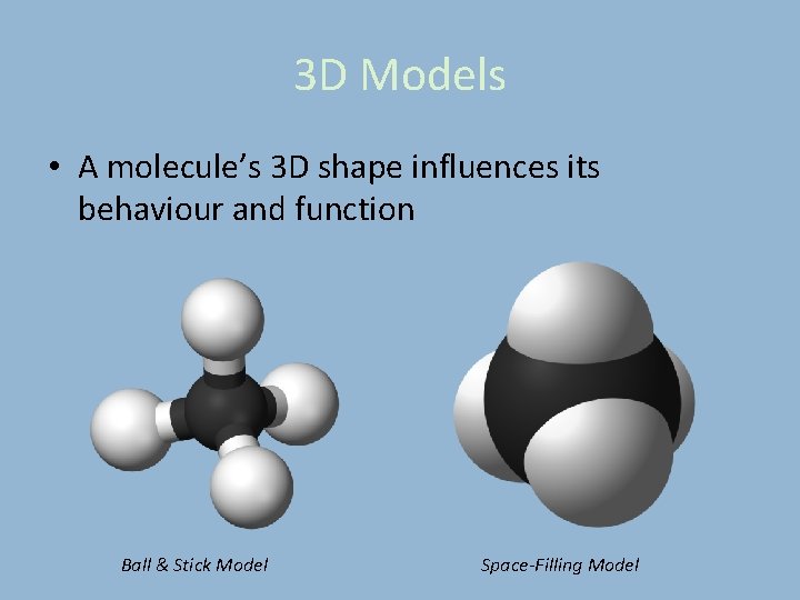 3 D Models • A molecule’s 3 D shape influences its behaviour and function