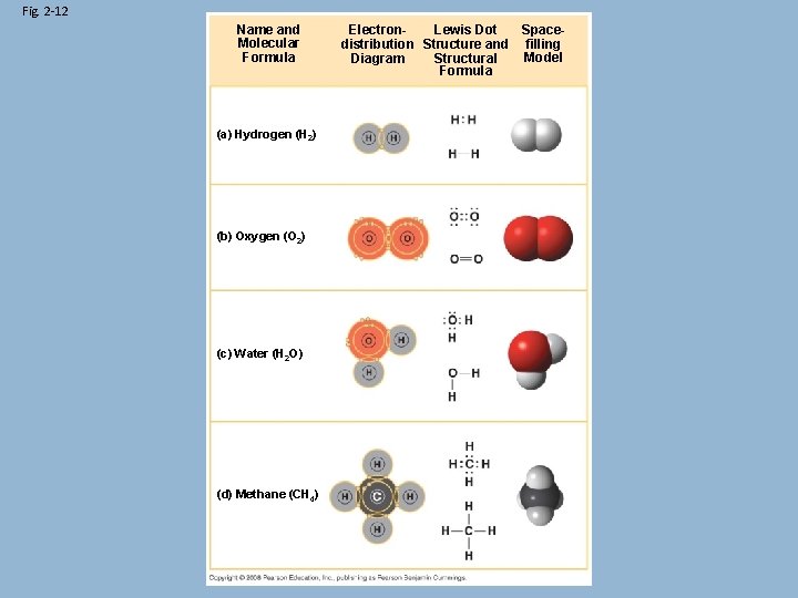 Fig. 2 -12 Name and Molecular Formula (a) Hydrogen (H 2) (b) Oxygen (O