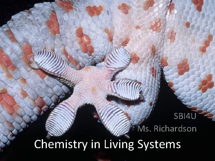SBI 4 U Ms. Richardson Chemistry in Living Systems 