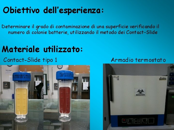 Obiettivo dell’esperienza: Determinare il grado di contaminazione di una superficie verificando il numero di
