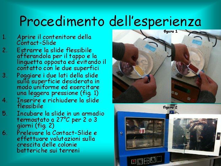 Procedimento dell’esperienza 1. 2. 3. 4. 5. 6. Aprire il contenitore della Contact-Slide Estrarre