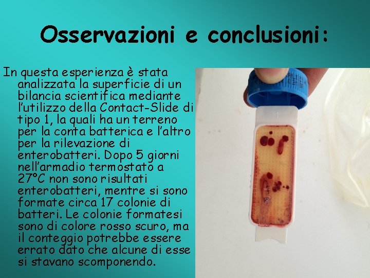 Osservazioni e conclusioni: In questa esperienza è stata analizzata la superficie di un bilancia