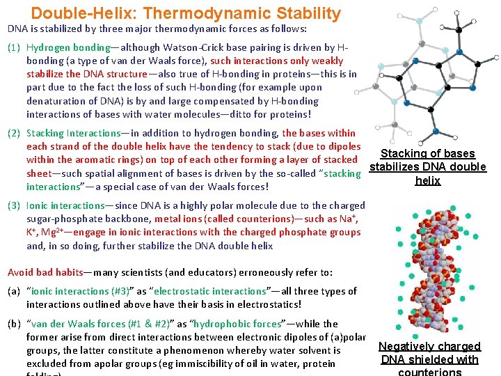 Double-Helix: Thermodynamic Stability DNA is stabilized by three major thermodynamic forces as follows: (1)