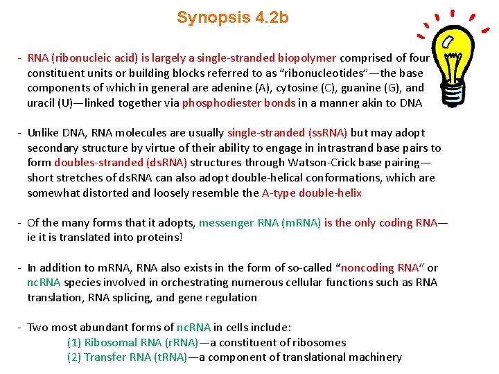 Synopsis 4. 2 b - RNA (ribonucleic acid) is largely a single-stranded biopolymer comprised Synopsis 4. 2 b - RNA (ribonucleic acid) is largely a single-stranded biopolymer comprised