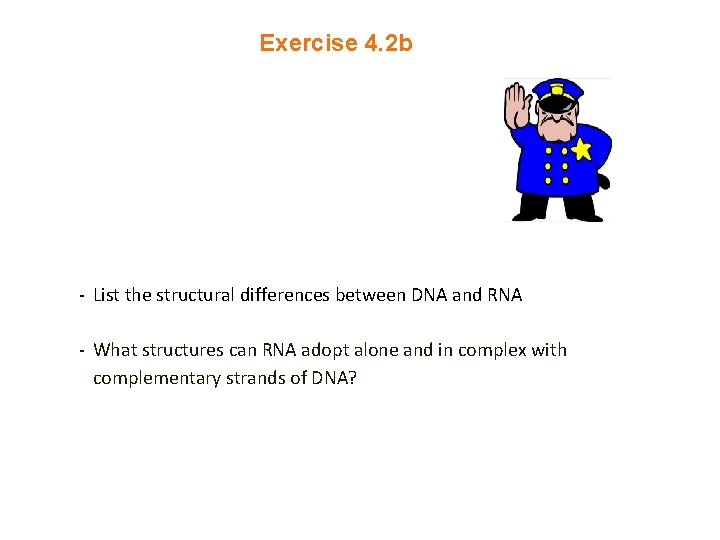 Exercise 4. 2 b - List the structural differences between DNA and RNA -