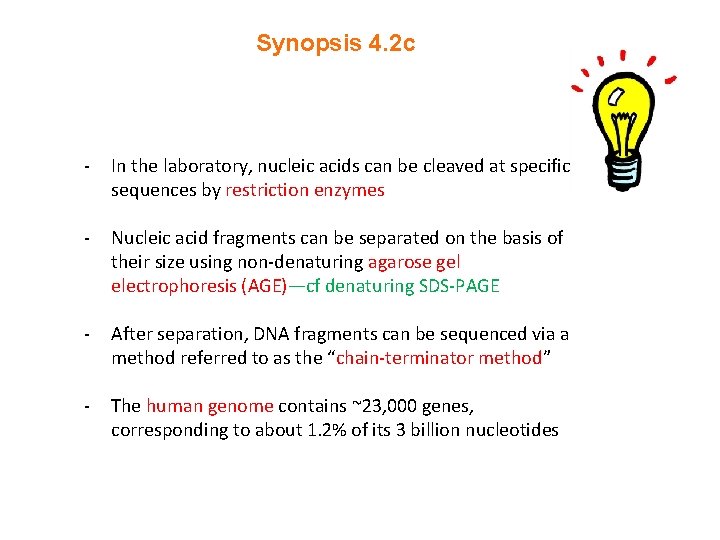 Synopsis 4. 2 c - In the laboratory, nucleic acids can be cleaved at