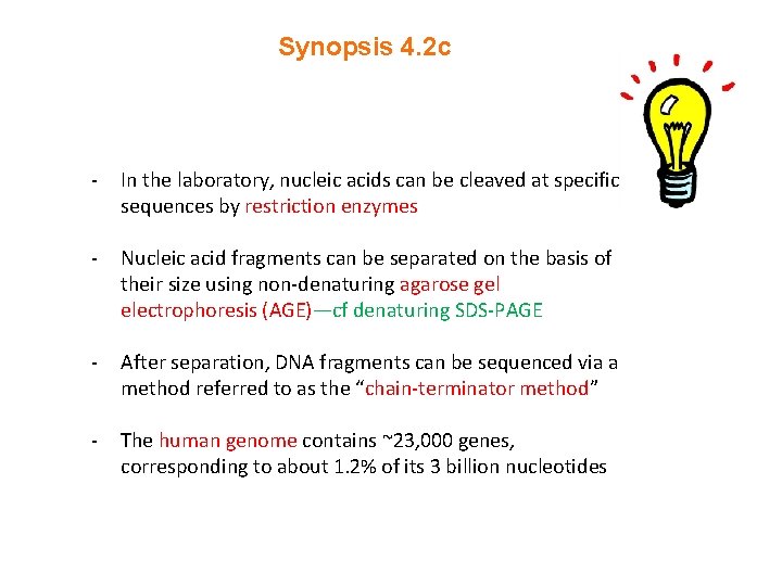 Synopsis 4. 2 c - In the laboratory, nucleic acids can be cleaved at Synopsis 4. 2 c - In the laboratory, nucleic acids can be cleaved at