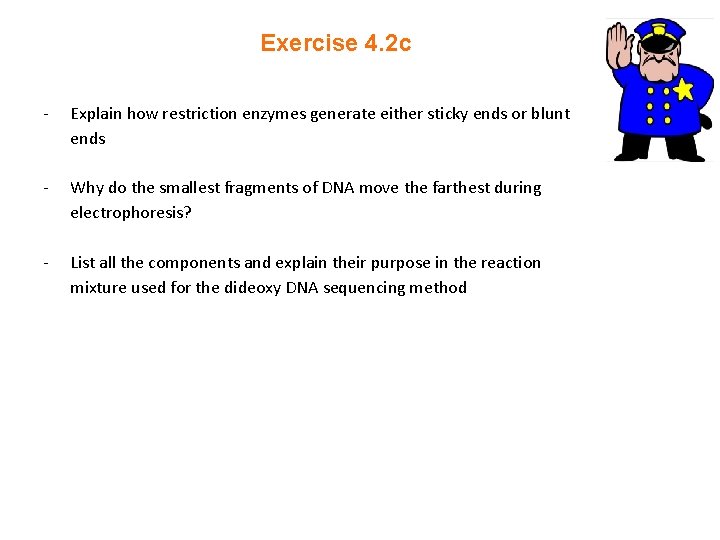 Exercise 4. 2 c - Explain how restriction enzymes generate either sticky ends or