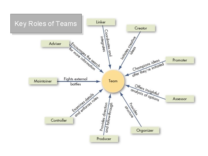 Key Roles of Teams 
