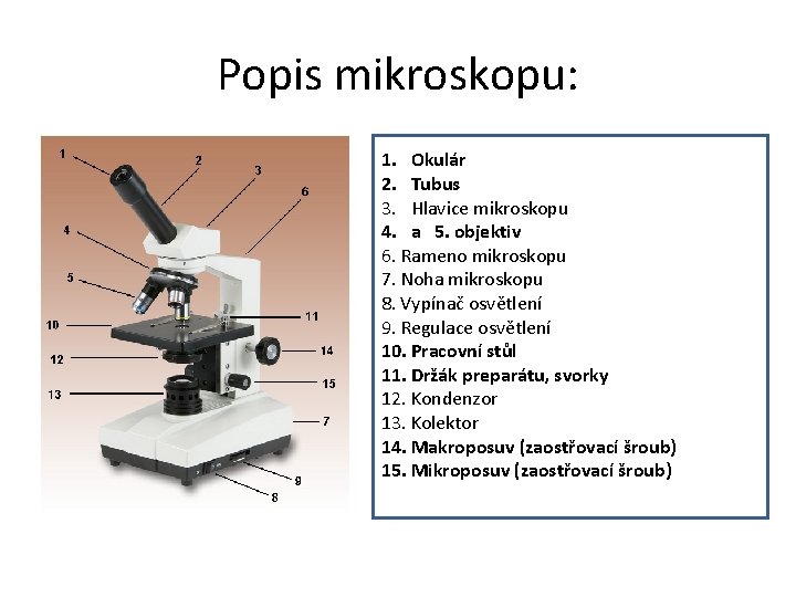Popis mikroskopu: 1. Okulár 2. Tubus 3. Hlavice mikroskopu 4. a 5. objektiv 6.