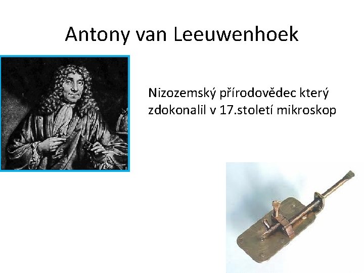 Antony van Leeuwenhoek Nizozemský přírodovědec který zdokonalil v 17. století mikroskop 